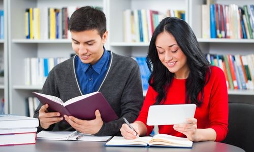 Where Can I Get The Best Economics Assignment Help In The USA?