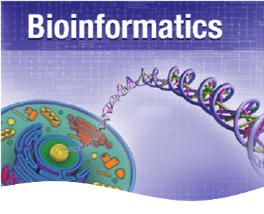 Bioinformatics